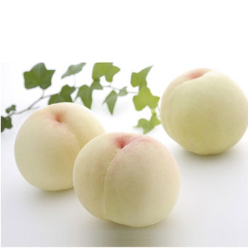 冈山县    白桃礼盒 售价 4,000元 前往购买