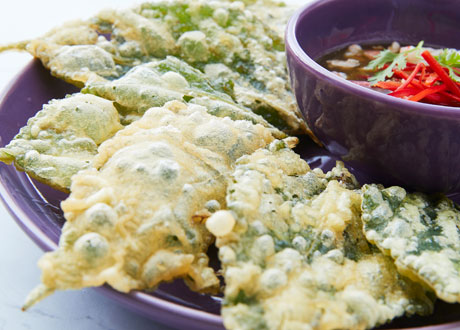 酥炸桑葉