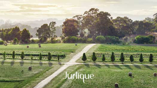 復興館B1 Jurlique茱莉蔻 12/1(六) POP UP STORE