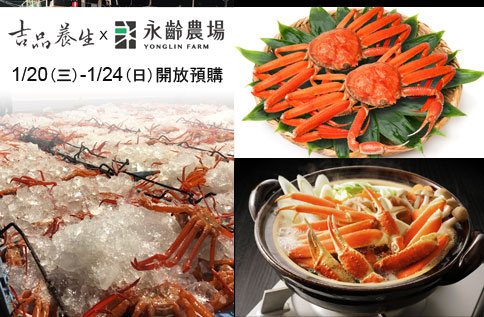 B2 吉品養生敦化SOGO旗艦店 【日本鳥取-紅楚蟹】