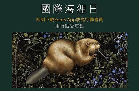 6F Roots 國際海貍日活動
