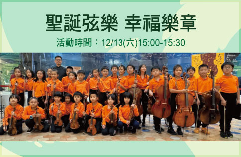 圖片:聖誕弦樂 幸福樂章